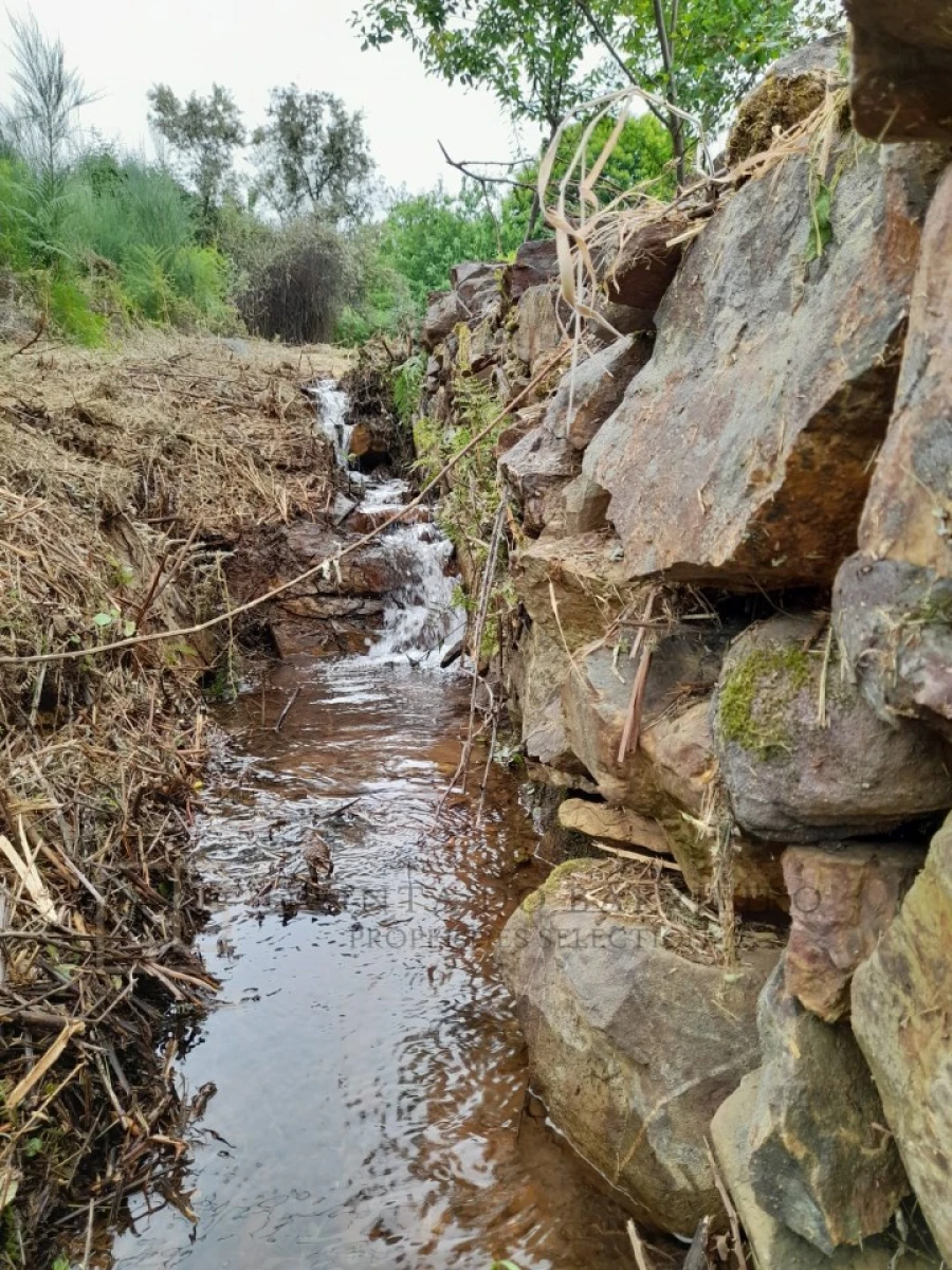 Quinta T3 para Venda em Alegrete Foto 52