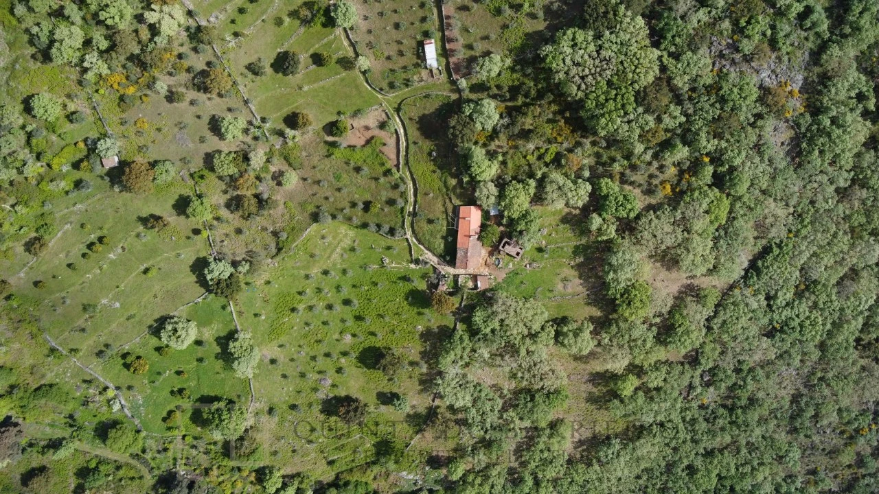 Quinta T2 para Venda em Ribeira de Nisa e Carreiras Foto 13