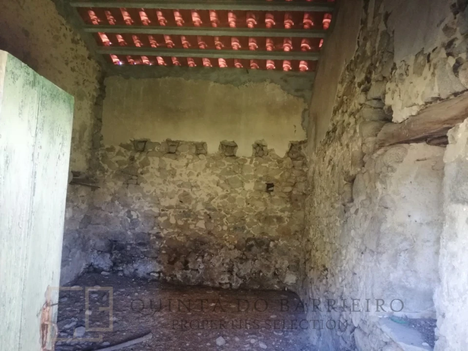 Quinta T2 para Venda em Ribeira de Nisa e Carreiras Foto 17