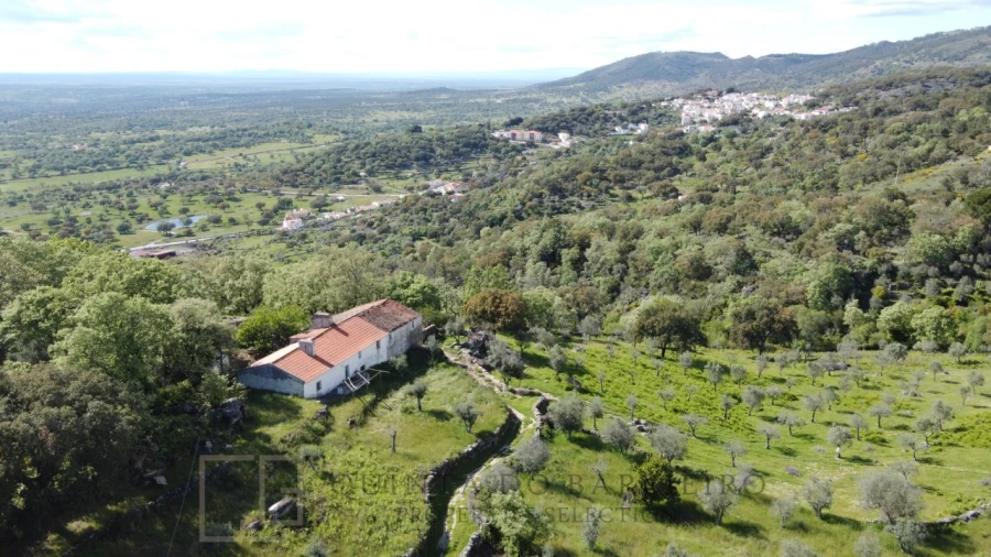 Quinta T2 para Venda em Ribeira de Nisa e Carreiras Foto 3