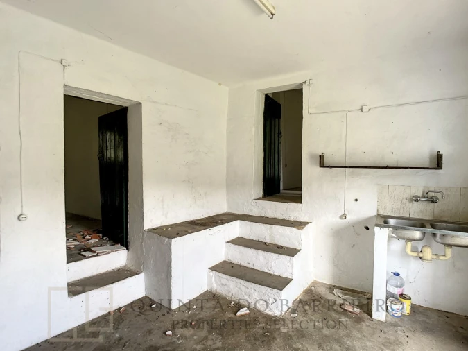 Quinta T2 para Venda em Ribeira de Nisa e Carreiras Foto 6