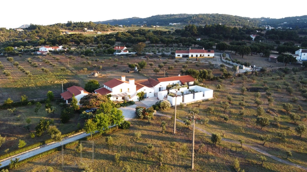 Quinta T7 para Venda em Sé e São Lourenço Foto 2
