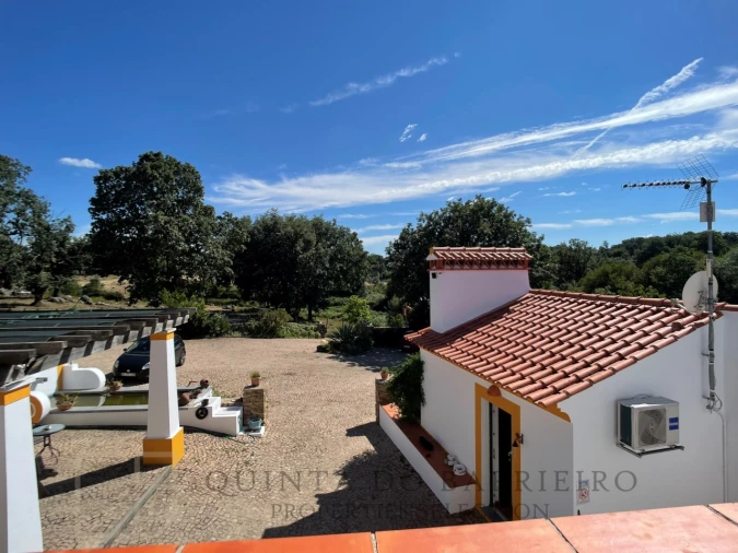 Quinta T12 para Venda em São Salvador da Aramenha Foto 34