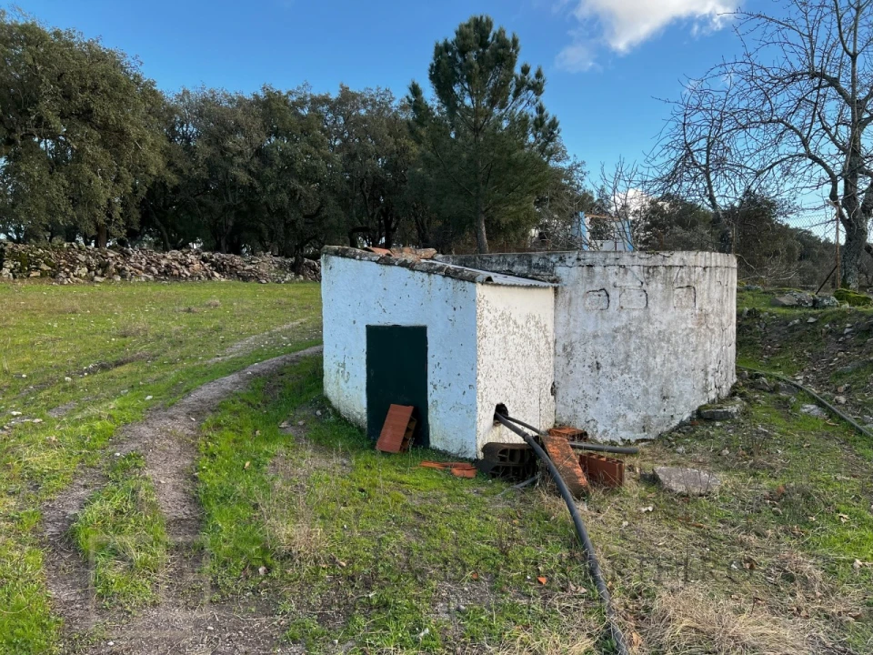 Quinta T3 para Venda em São Salvador da Aramenha Foto 10