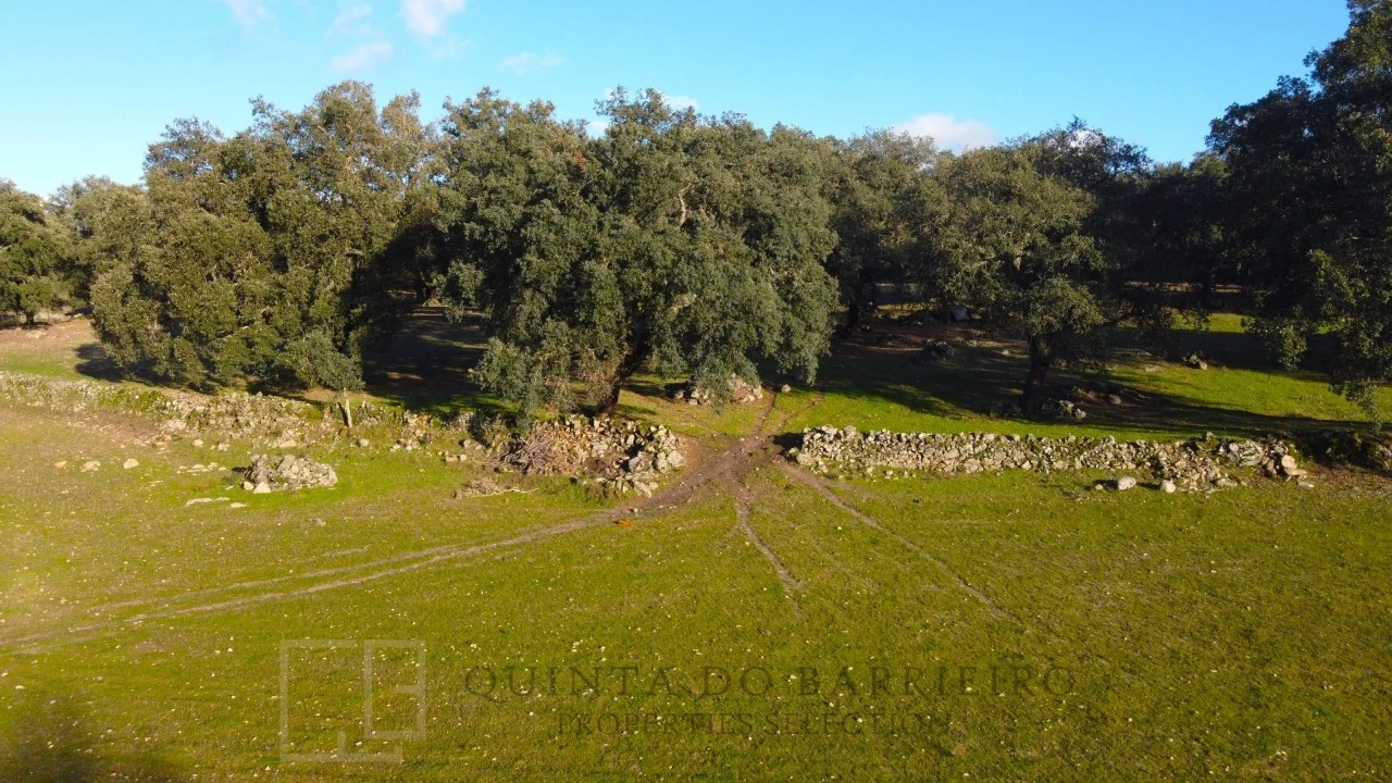 Quinta T3 para Venda em São Salvador da Aramenha Foto 40