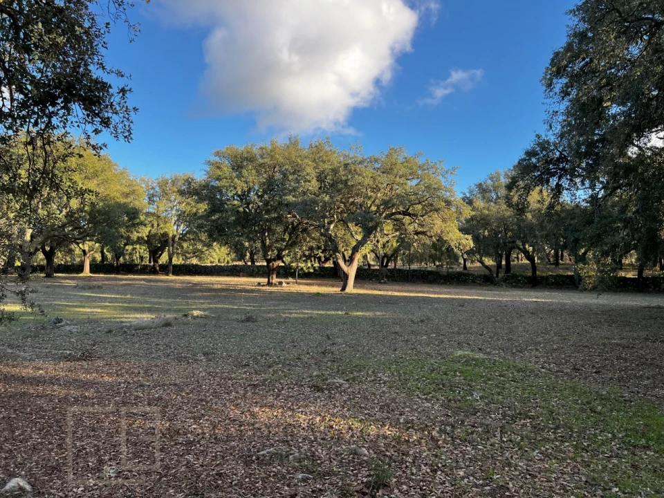Quinta T3 para Venda em São Salvador da Aramenha Foto 46