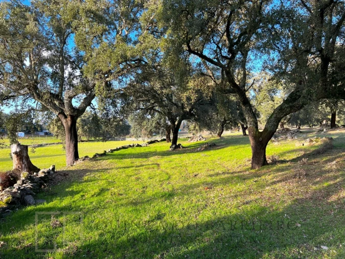 Quinta T3 para Venda em São Salvador da Aramenha Foto 5