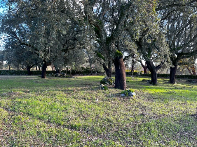 Quinta T3 para Venda em São Salvador da Aramenha Foto 39