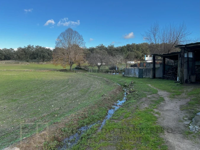 Quinta T3 para Venda em São Salvador da Aramenha Foto 44