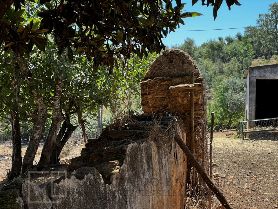 Quinta T2 para Venda em São Salvador da Aramenha Foto 11
