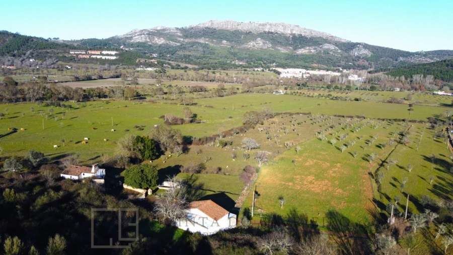 Quinta T2 para Venda em São Salvador da Aramenha Foto 6