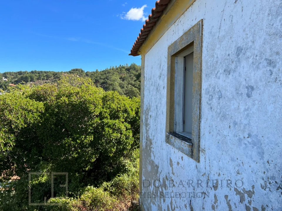 Quinta T9 para Venda em Sé e São Lourenço Foto 38