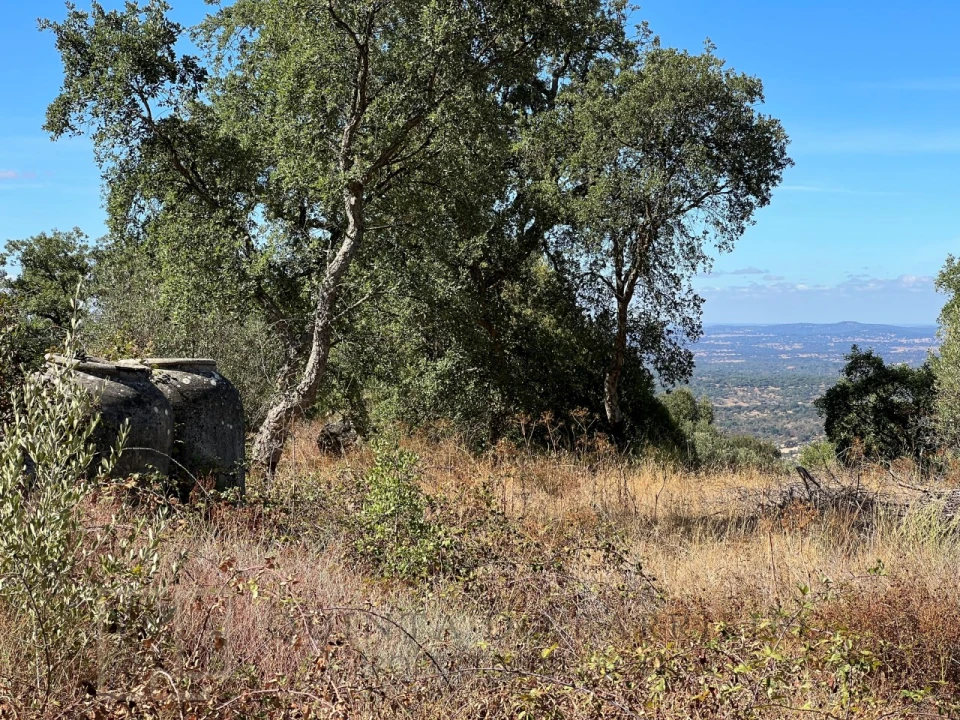 Quinta T9 para Venda em Sé e São Lourenço Foto 49