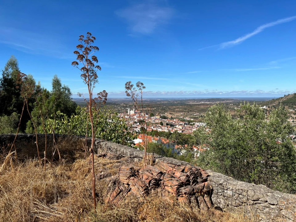Quinta T9 para Venda em Sé e São Lourenço Foto 54