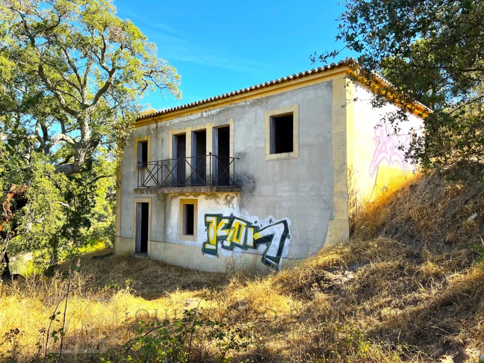 Quinta T9 para Venda em Sé e São Lourenço Foto 5