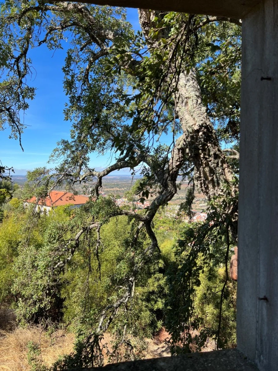 Quinta T9 para Venda em Sé e São Lourenço Foto 28
