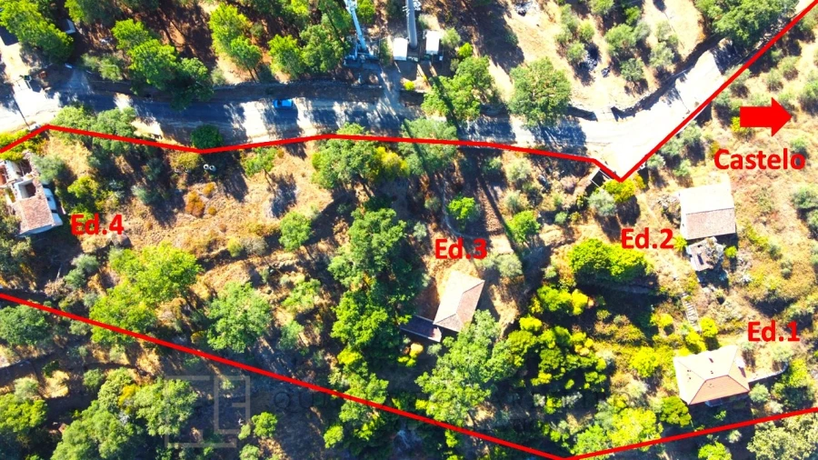 Quinta T9 para Venda em Sé e São Lourenço Foto 15