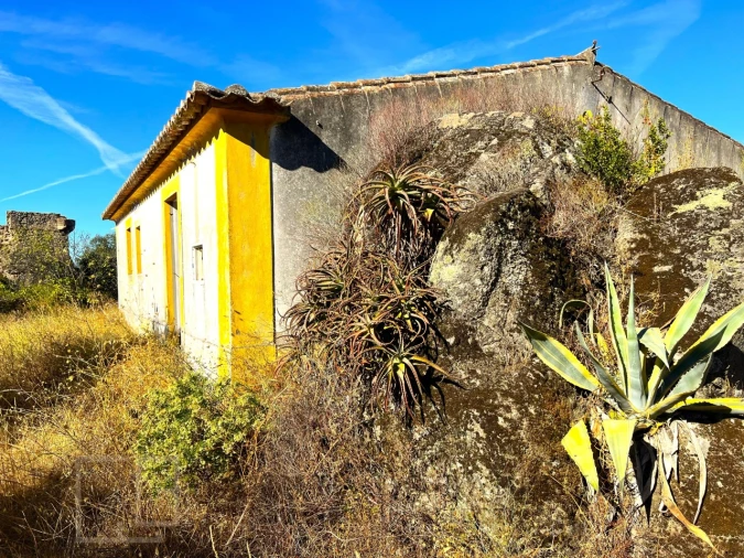 Quinta T9 para Venda em Sé e São Lourenço Foto 78