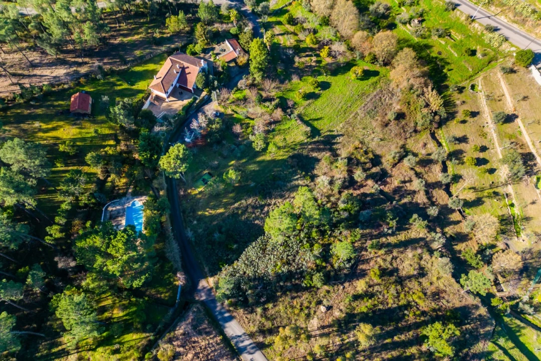 Moradia T6 para Venda em Mação, Penhascoso e Aboboreira Foto 3