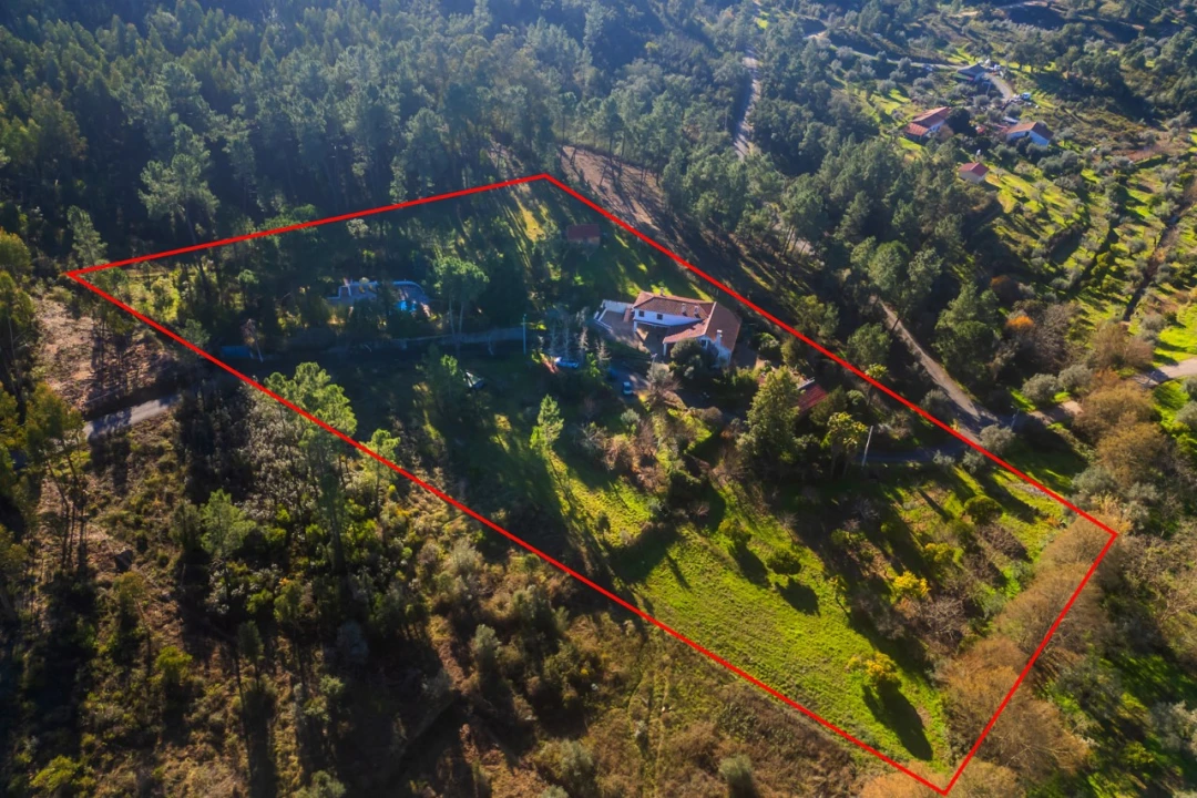 Moradia T6 para Venda em Mação, Penhascoso e Aboboreira Foto 5