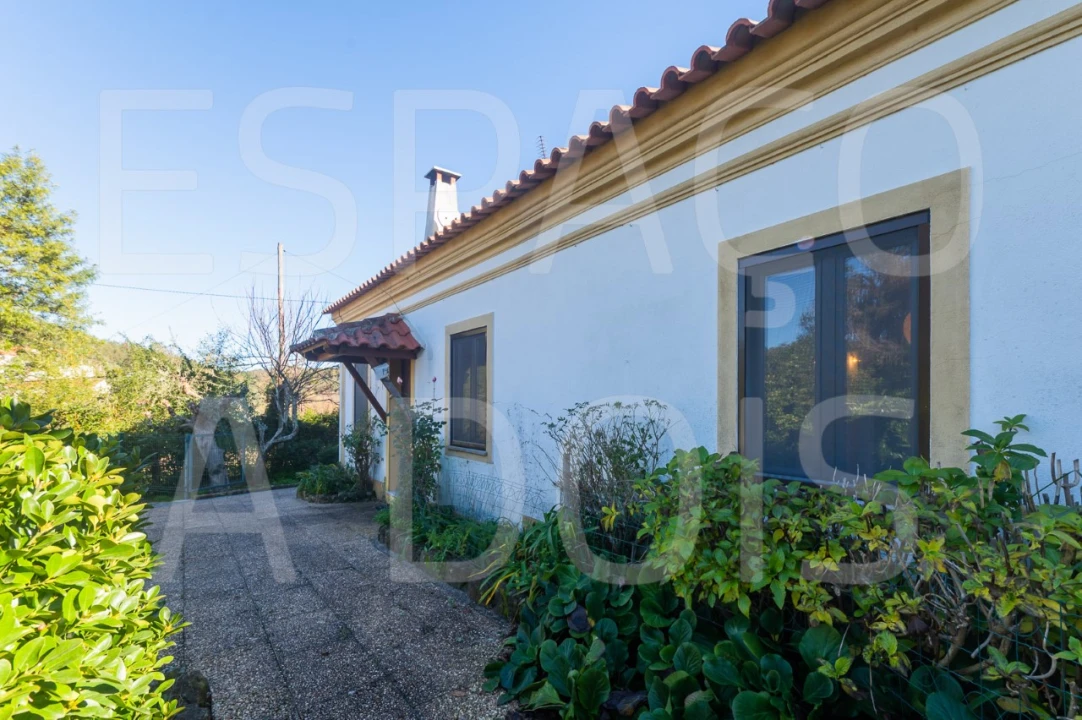 Moradia T6 para Venda em Mação, Penhascoso e Aboboreira Foto 19