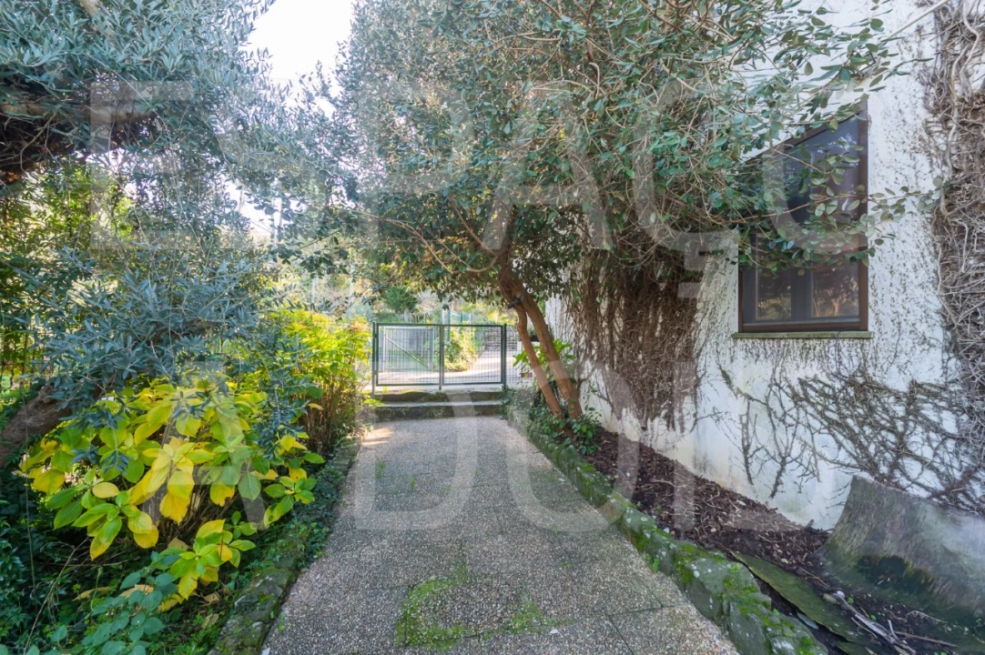 Moradia T6 para Venda em Mação, Penhascoso e Aboboreira Foto 82