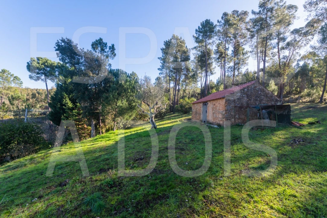 Moradia T6 para Venda em Mação, Penhascoso e Aboboreira Foto 85