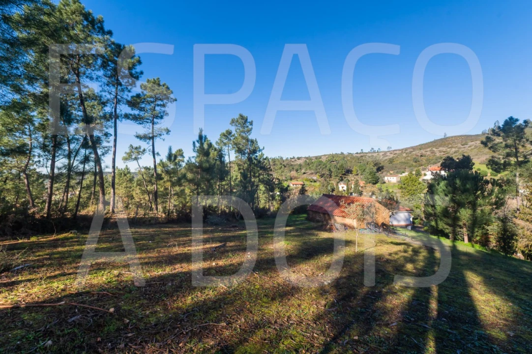 Moradia T6 para Venda em Mação, Penhascoso e Aboboreira Foto 86