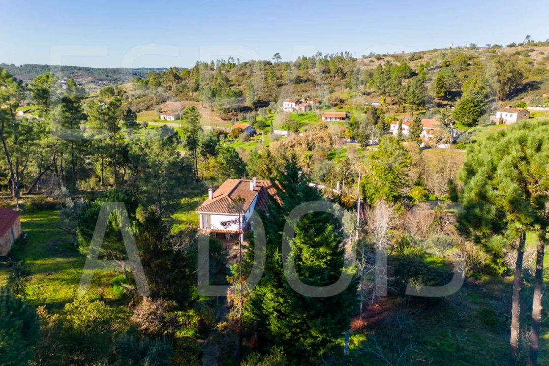 Moradia T6 para Venda em Mação, Penhascoso e Aboboreira Foto 87