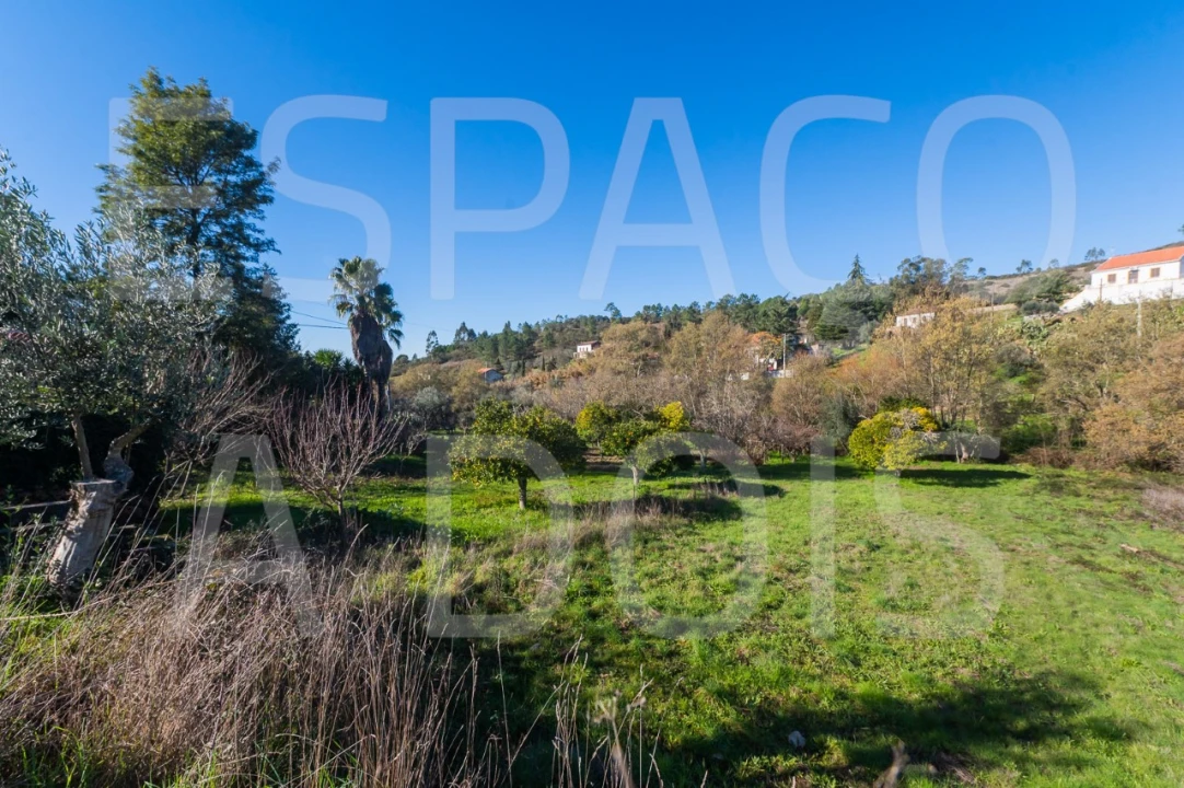 Moradia T6 para Venda em Mação, Penhascoso e Aboboreira Foto 92