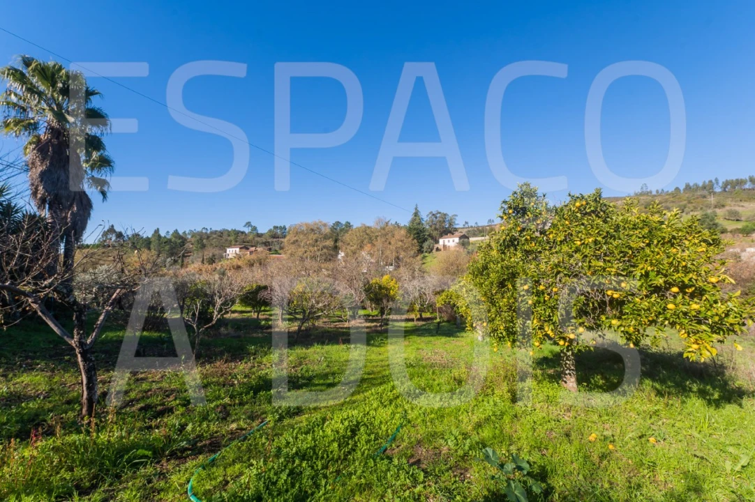 Moradia T6 para Venda em Mação, Penhascoso e Aboboreira Foto 93