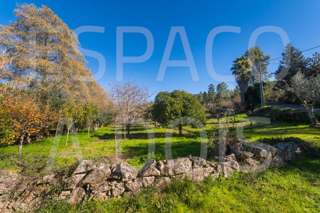 Moradia T6 para Venda em Mação, Penhascoso e Aboboreira Foto 94