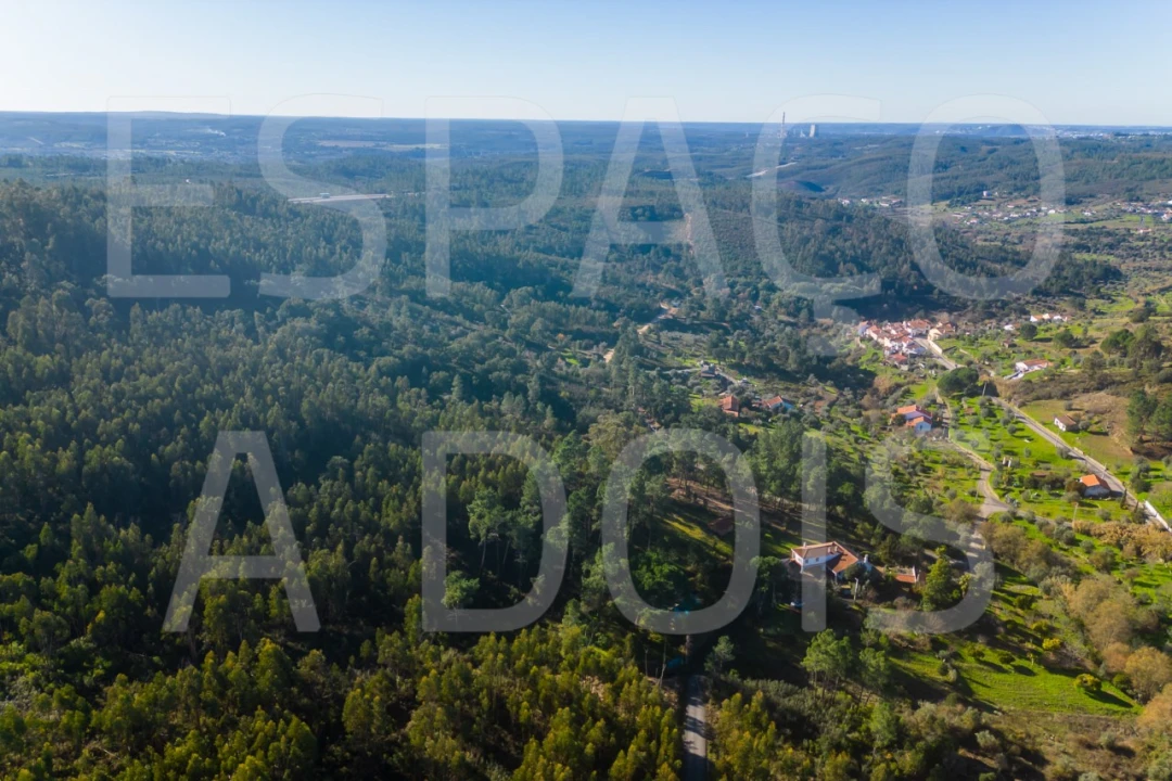 Moradia T6 para Venda em Mação, Penhascoso e Aboboreira Foto 98