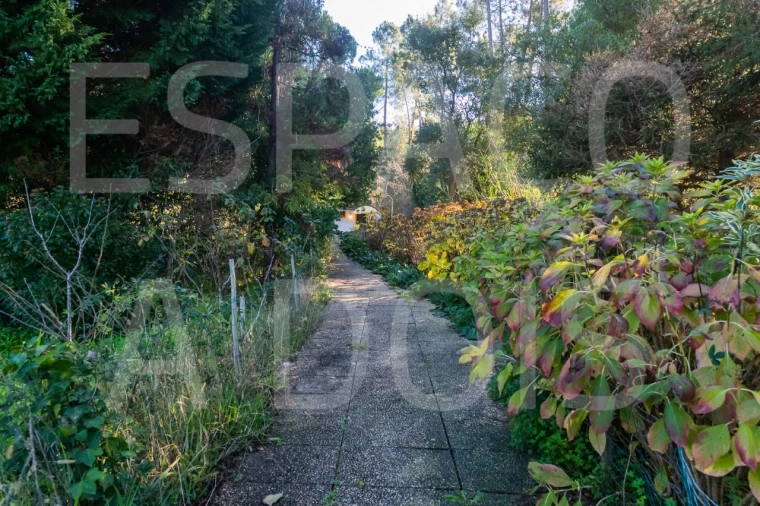 Moradia T6 para Venda em Mação, Penhascoso e Aboboreira Foto 14