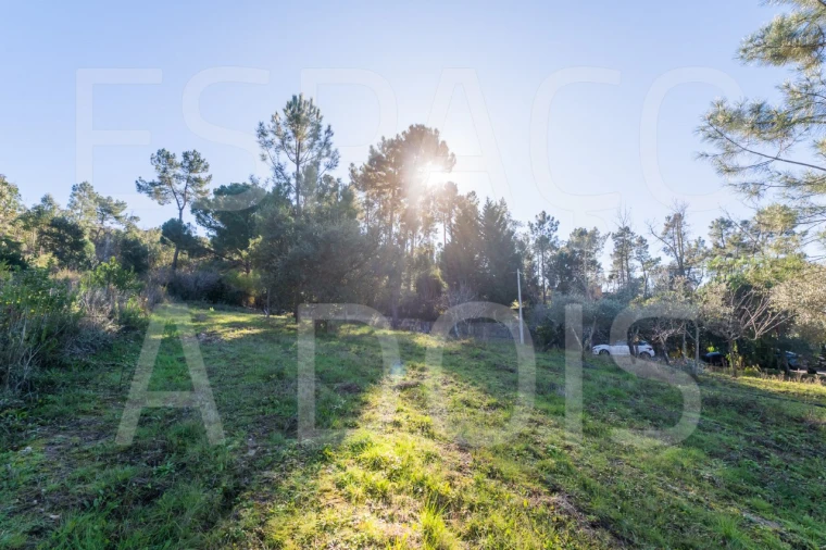Moradia T6 para Venda em Mação, Penhascoso e Aboboreira Foto 91
