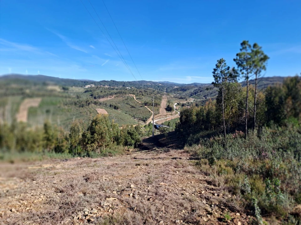 Terreno Agricola ou Rústico para Venda em Cardigos Foto 1