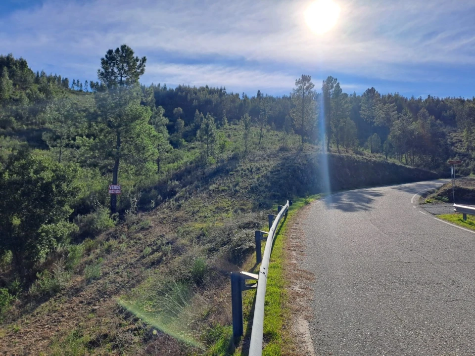 Terreno Agricola ou Rústico para Venda em Cardigos Foto 4