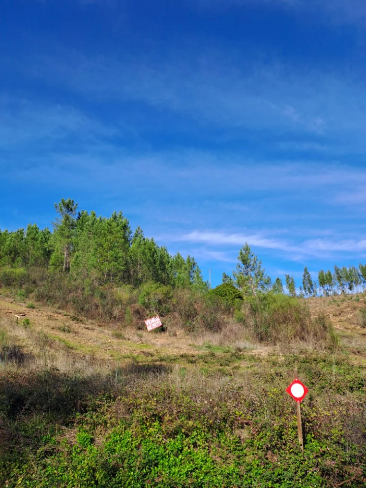 Terreno Agricola ou Rústico para Venda em Cardigos Foto 3