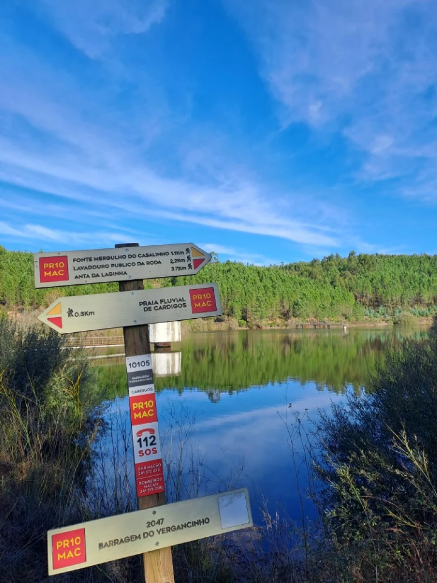 Terreno Agricola ou Rústico para Venda em Cardigos Foto 6