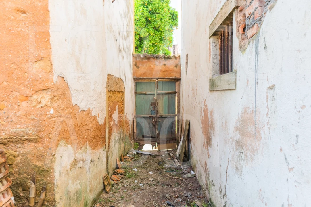 Prédio para Venda em São João Baptista e Santa Maria dos Olivais Foto 15