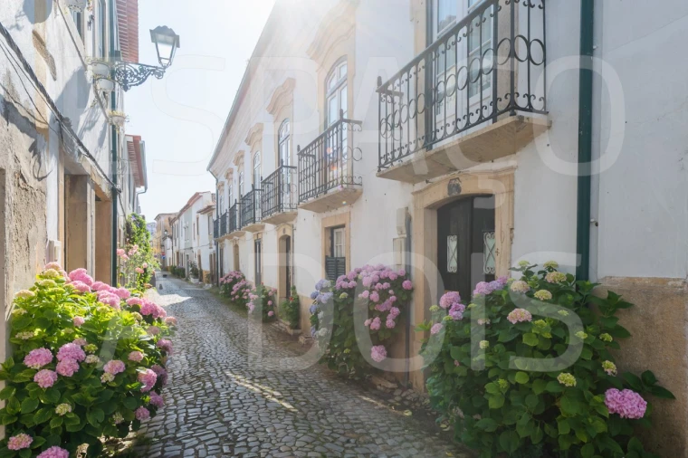 Prédio para Venda em São João Baptista e Santa Maria dos Olivais Foto 19