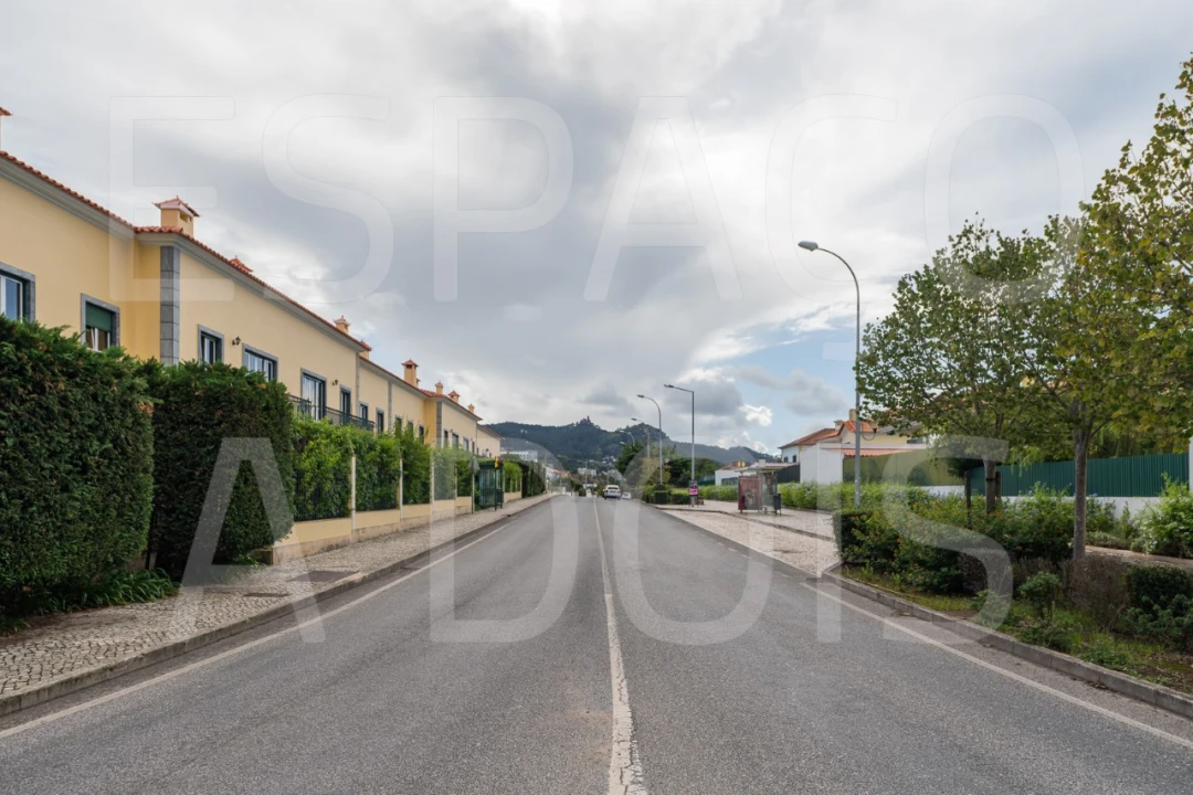 Terreno para Venda em Santa Maria e São Miguel, São Martinho, São Pedro Penaferrim Foto 13