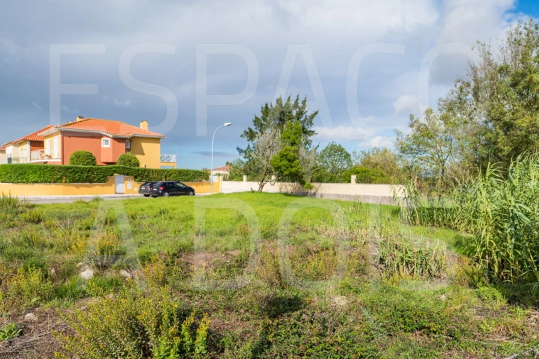 Terreno para Venda em Santa Maria e São Miguel, São Martinho, São Pedro Penaferrim Foto 7