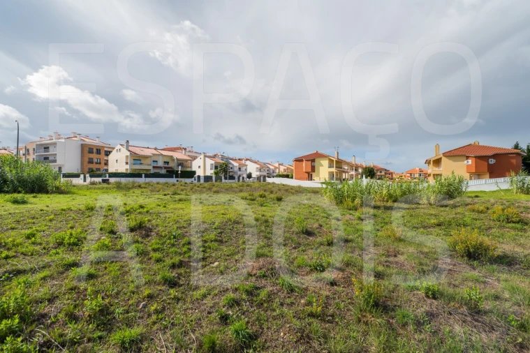 Terreno para Venda em Santa Maria e São Miguel, São Martinho, São Pedro Penaferrim Foto 8