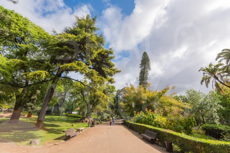 Apartamento T3 para Arrendamento em Estrela Foto 83