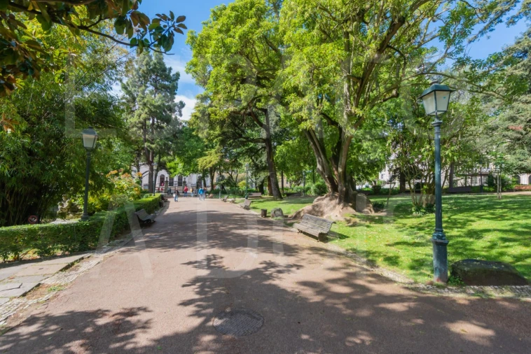 Apartamento T3 para Arrendamento em Estrela Foto 87