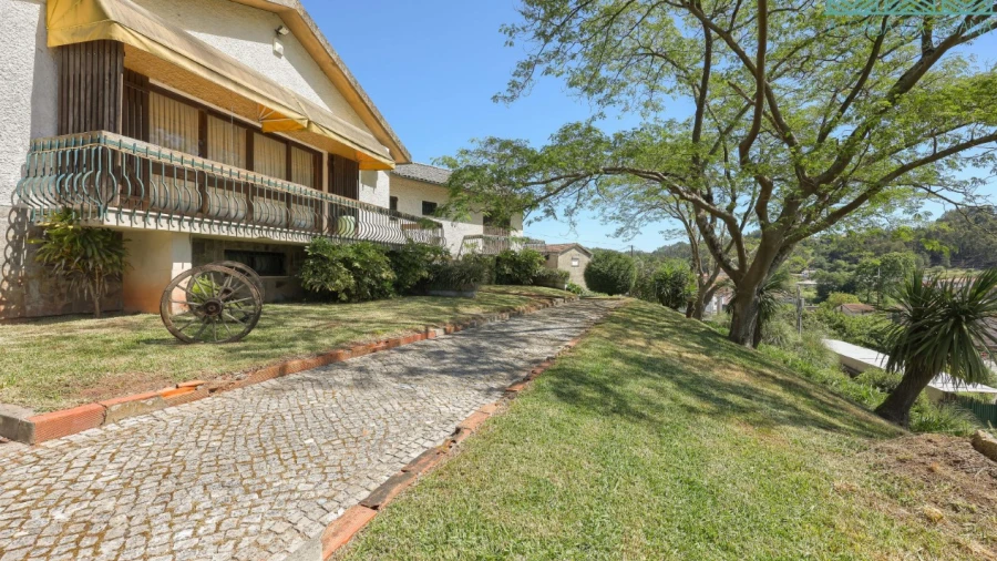 Quinta T5 para Venda em Águeda e Borralha