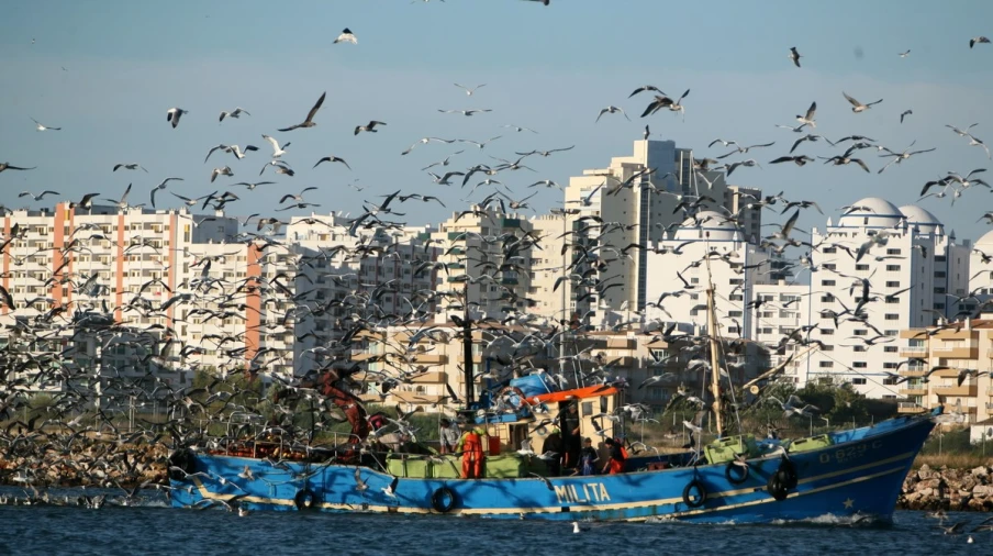 Apartamento T1 para Venda em Portimão Foto 22