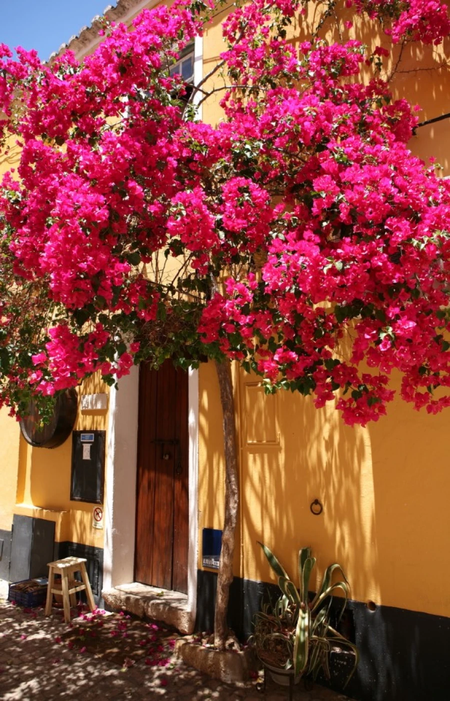 Apartamento T1 para Venda em Portimão Foto 24