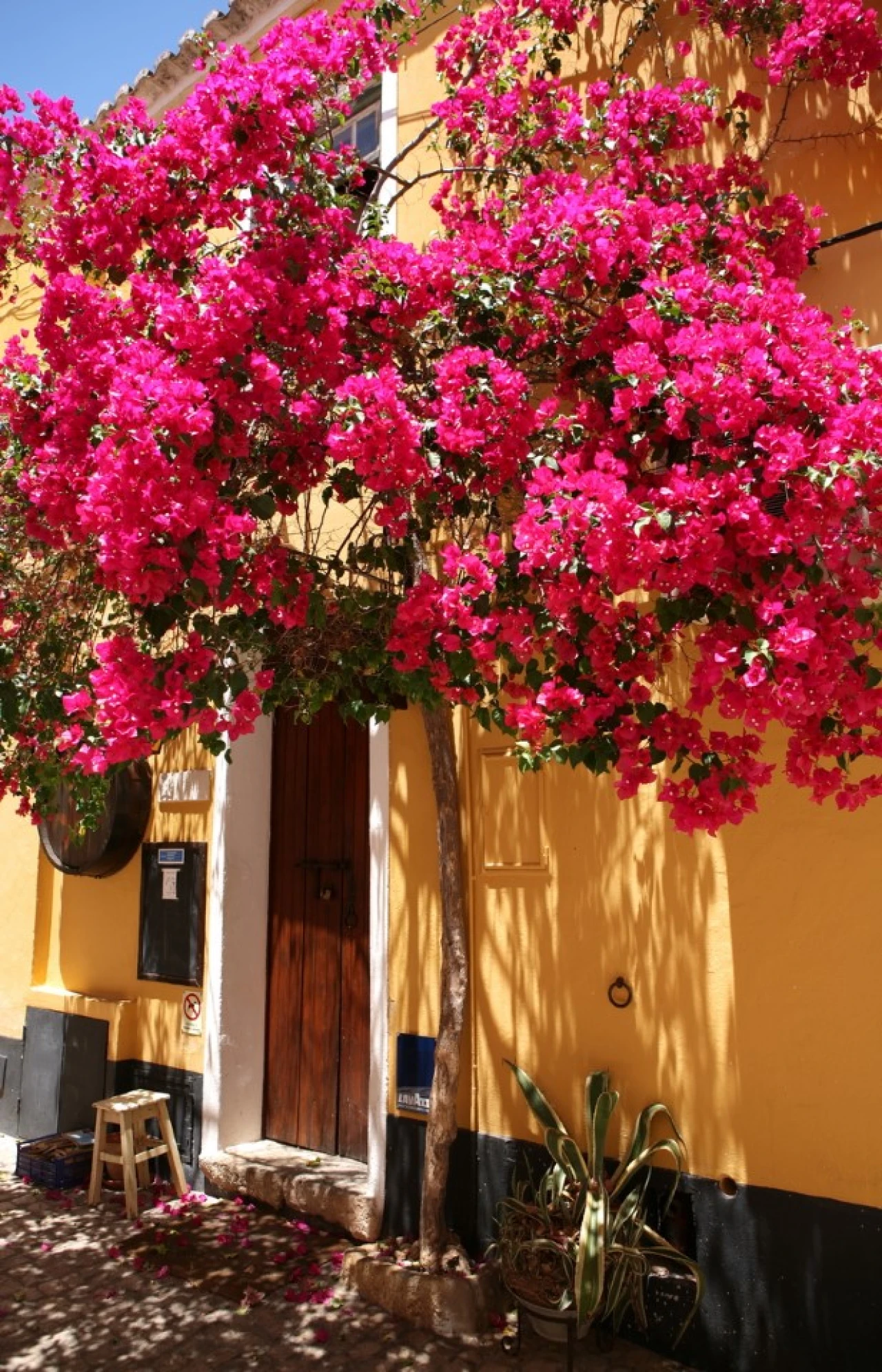 Apartamento T1 para Venda em Portimão Foto 23